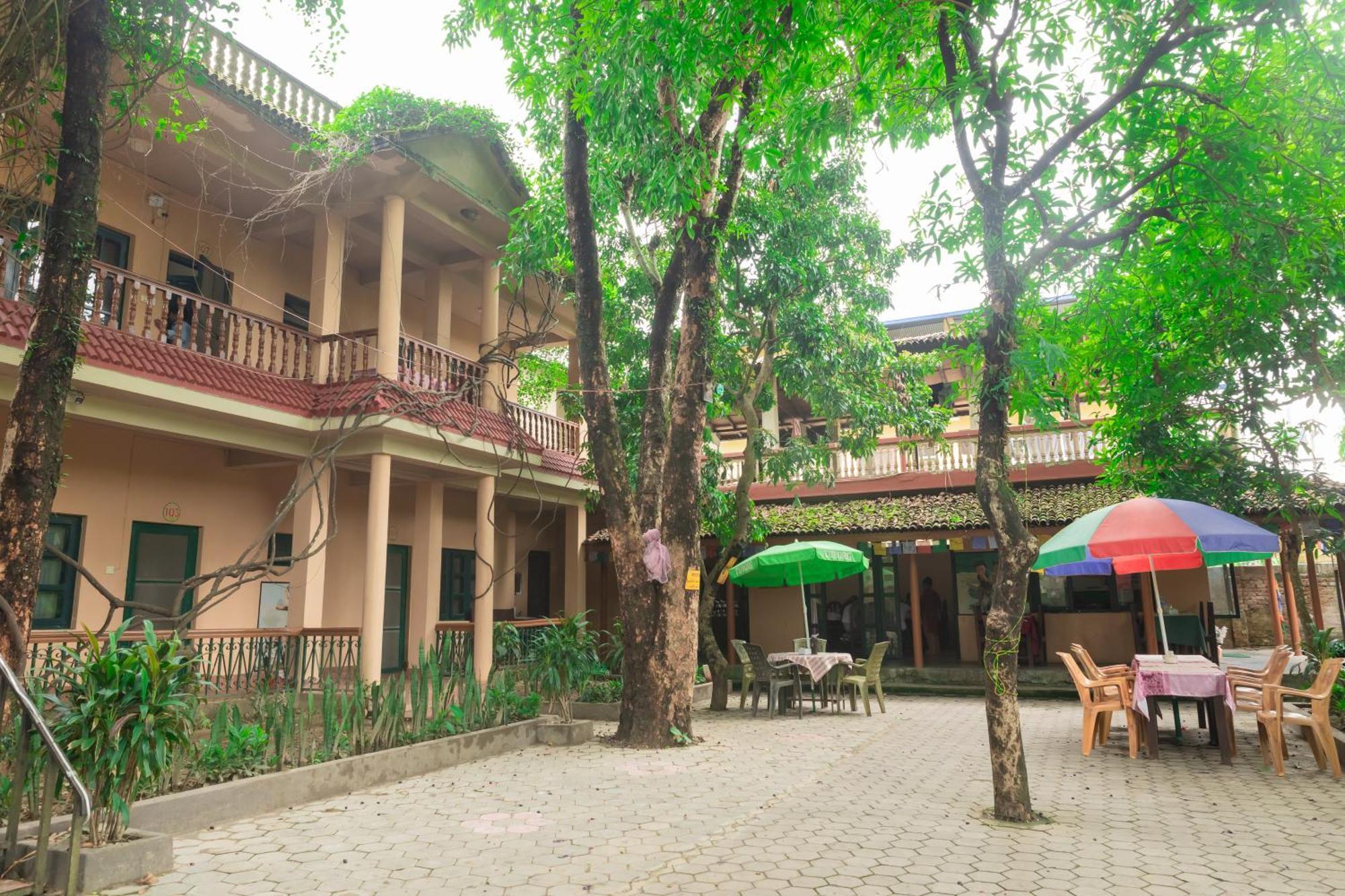 Wild Horizons Guest House Sauraha Exterior photo